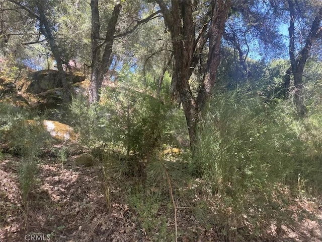 5555 Vacation Blvd, Somerset, CA 95684 - photo 5