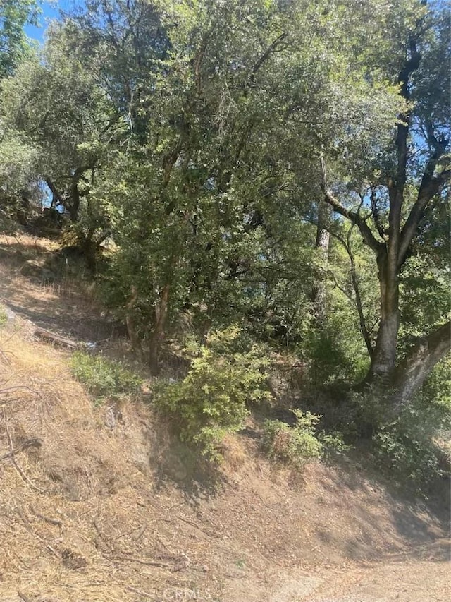 5555 Vacation Blvd, Somerset, CA 95684 - photo 3