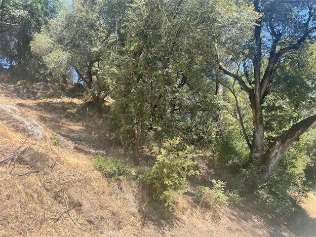 5555 Vacation Blvd, Somerset, CA 95684 - photo 4