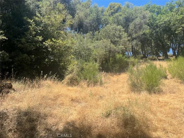 5555 Vacation Blvd, Somerset, CA 95684 - photo 6