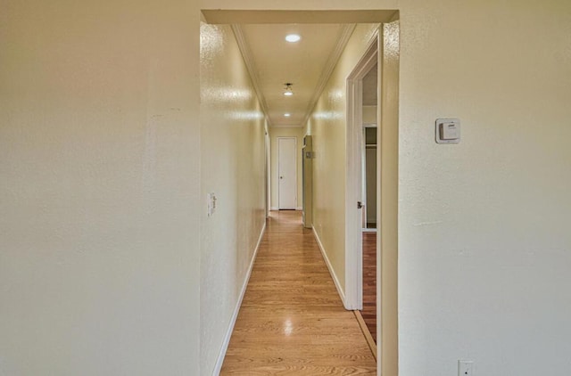 corridor featuring crown molding and light hardwood / wood-style flooring