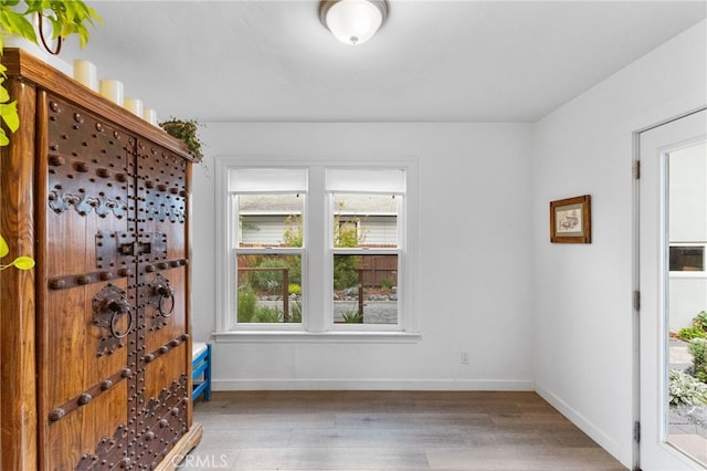 interior space with hardwood / wood-style flooring