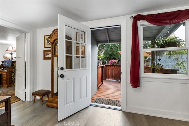 entrance foyer with light hardwood / wood-style flooring