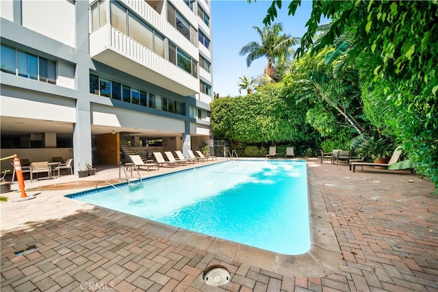 view of swimming pool featuring a patio area