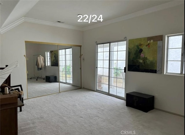 carpeted living room with crown molding and a healthy amount of sunlight