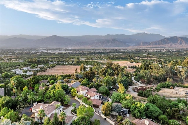 birds eye view of property with a mountain view