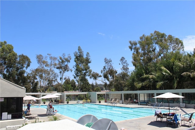 view of swimming pool with a patio