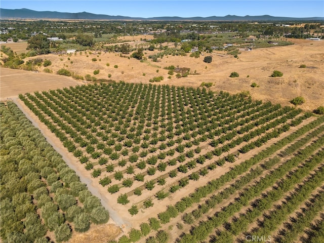 drone / aerial view with a mountain view