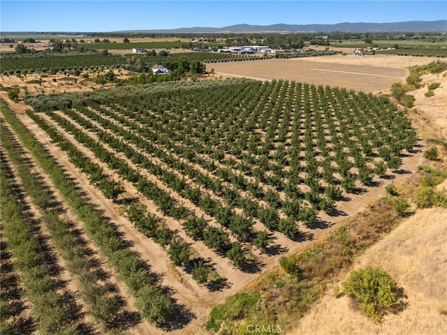 drone / aerial view featuring a mountain view and a rural view