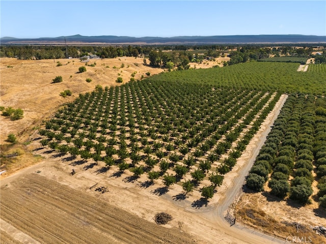 birds eye view of property featuring a rural view