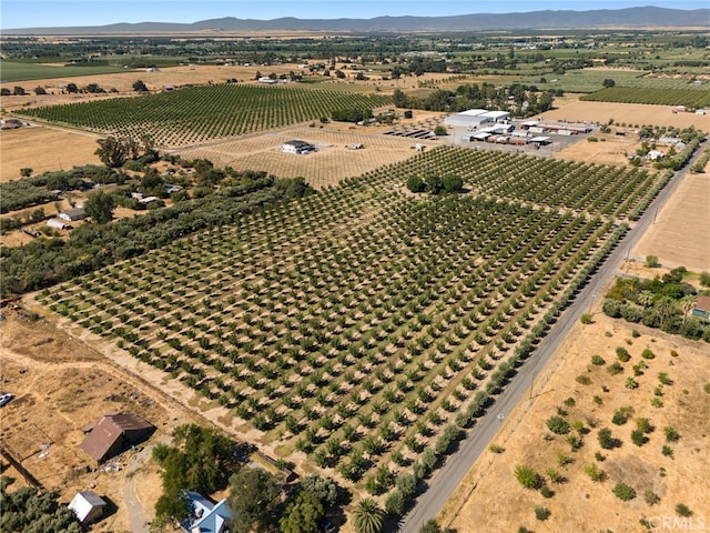 drone / aerial view with a mountain view and a rural view