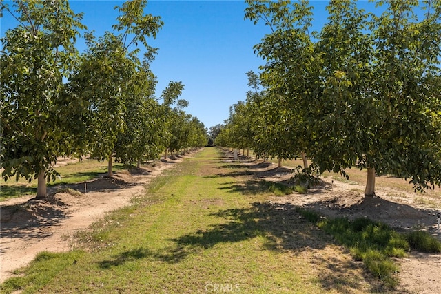 view of yard with a rural view