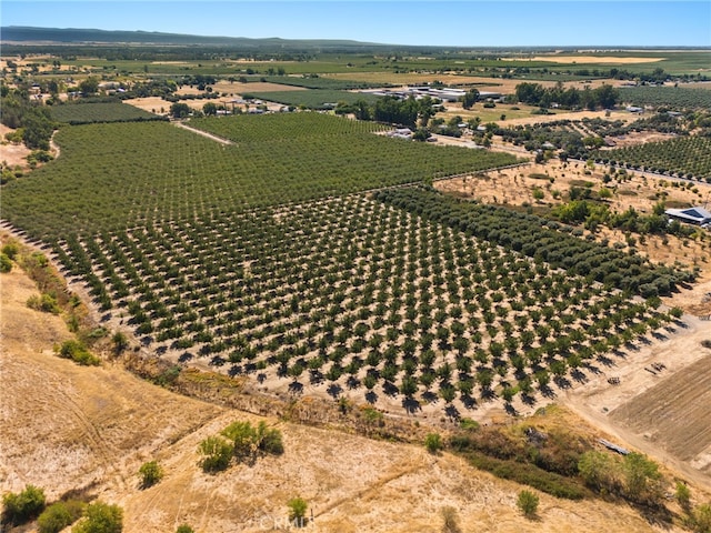 birds eye view of property with a rural view