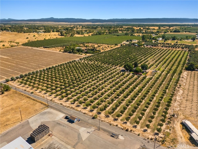 bird's eye view featuring a rural view