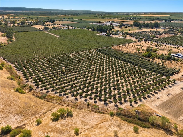 birds eye view of property featuring a rural view