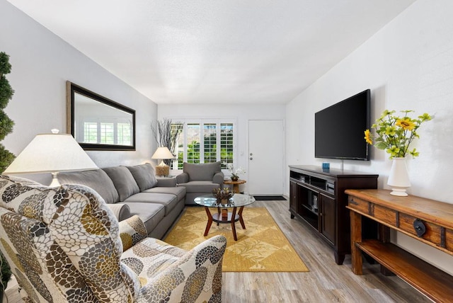 living room with light hardwood / wood-style flooring