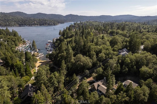 birds eye view of property featuring a water and mountain view