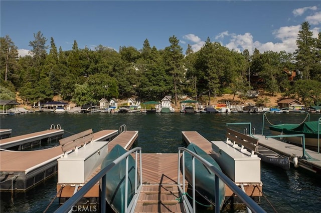 dock area with a water view