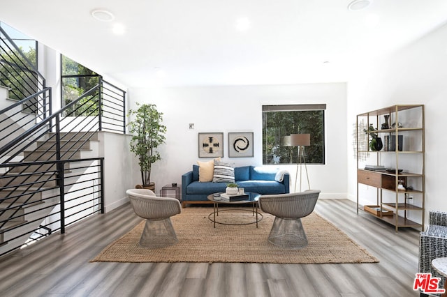 living room featuring hardwood / wood-style floors