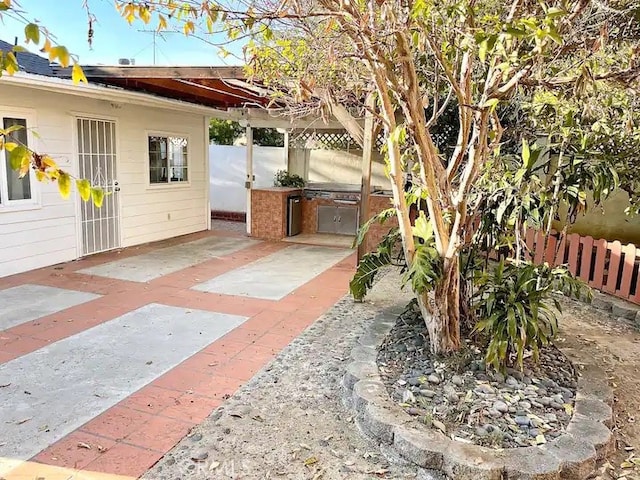 view of yard with an outdoor kitchen and a patio area