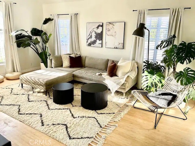 living room with hardwood / wood-style floors and a wealth of natural light