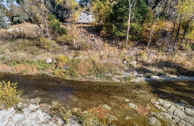 view of landscape featuring a water view