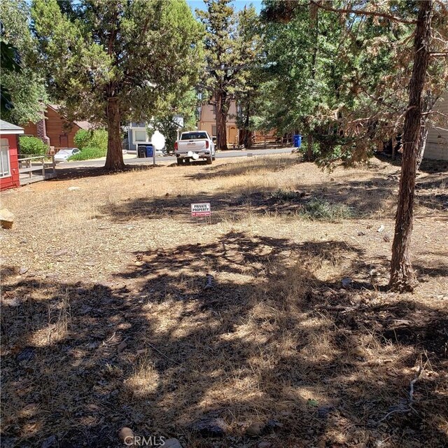 864 San Bernardino Ave, Sugarloaf, CA 92386 - photo 3