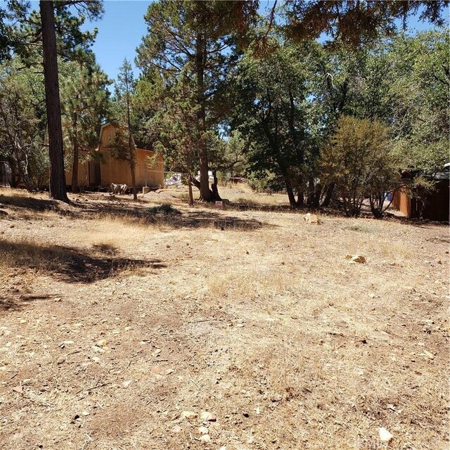 864 San Bernardino Ave, Sugarloaf, CA 92386 - photo 4