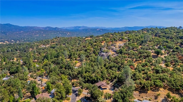 41243 Pamela Pl, Oakhurst, CA 93644 - photo 15