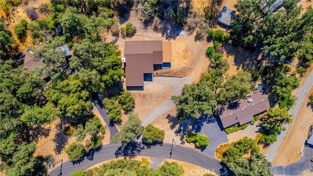 41243 Pamela Pl, Oakhurst, CA 93644 - photo 9