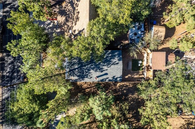 329 Vista Ln, Sugarloaf, CA 92386 - photo 28