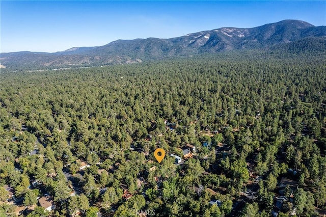329 Vista Ln, Sugarloaf, CA 92386 - photo 27