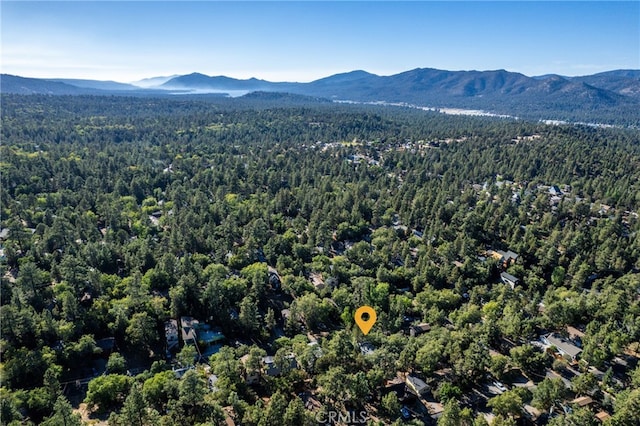 birds eye view of property featuring a mountain view