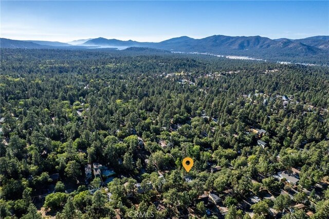 329 Vista Ln, Sugarloaf, CA 92386 - photo 23