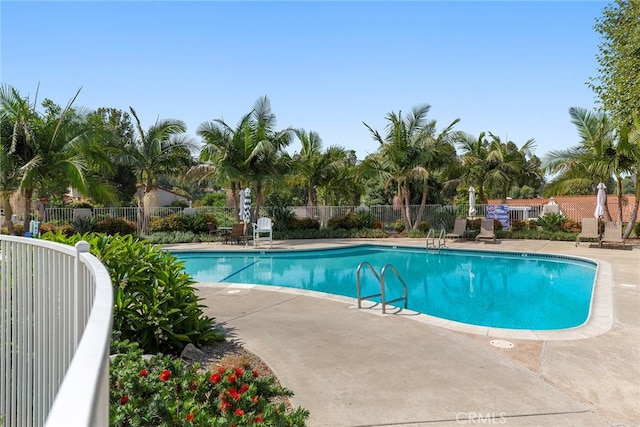 view of swimming pool with a patio