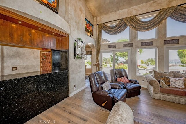 living room featuring a towering ceiling and hardwood / wood-style flooring