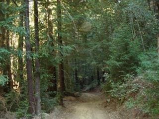 0 Bear Creek Rd, Los Gatos CA, 95033 land for sale