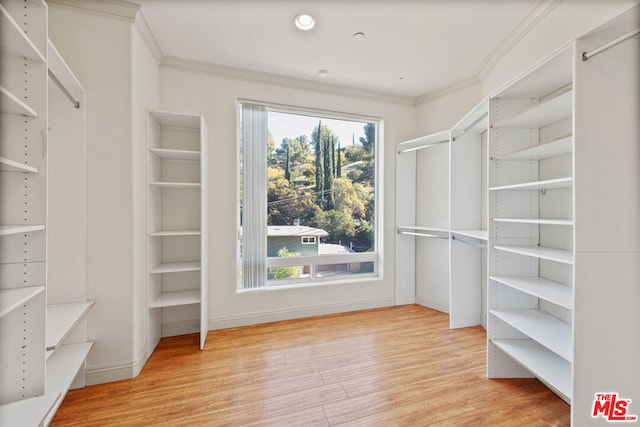 spacious closet with light wood-type flooring