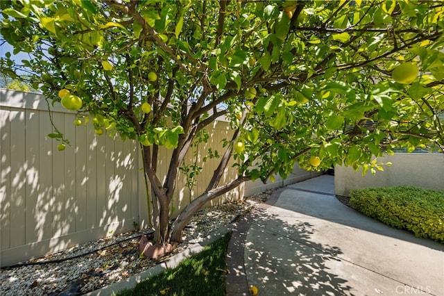 exterior space featuring a patio area and a fenced backyard