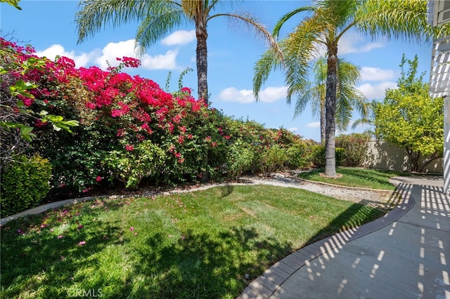 view of yard featuring fence