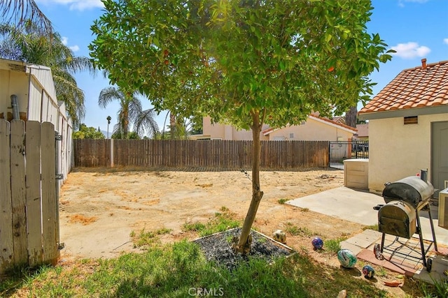 view of yard featuring a patio