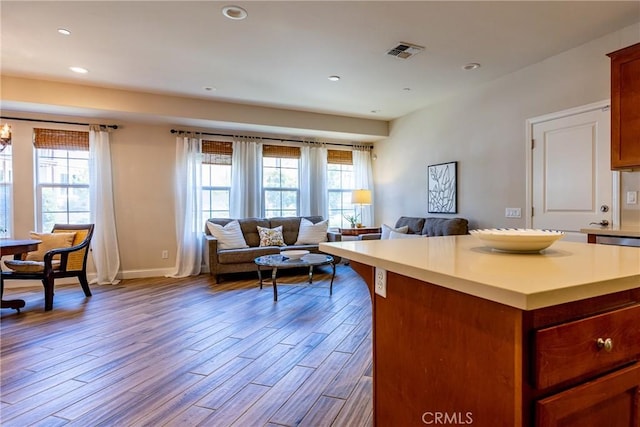 kitchen with hardwood / wood-style flooring