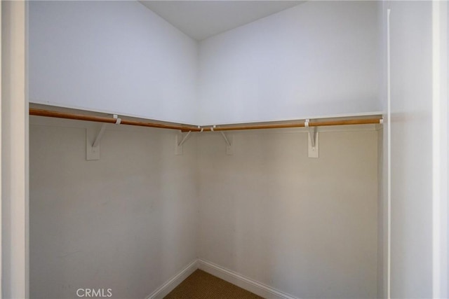 spacious closet with carpet