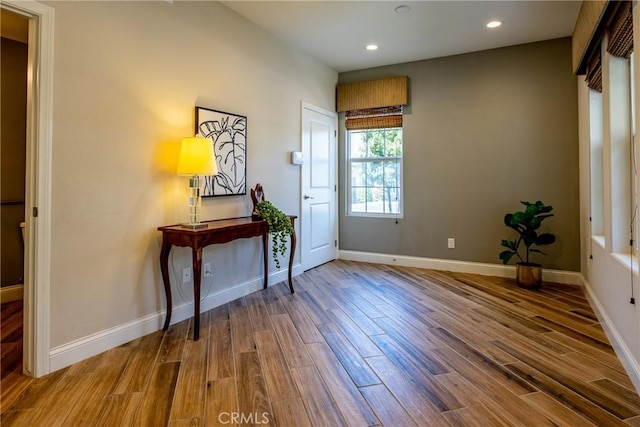 entrance foyer with wood-type flooring