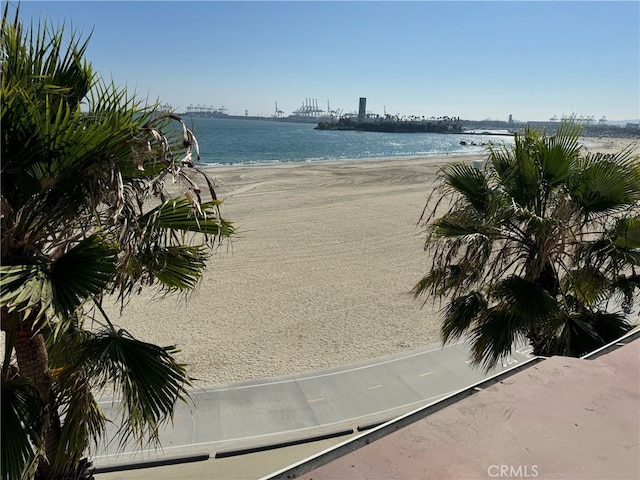 water view featuring a beach view