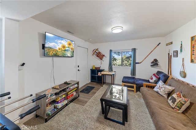 living room with hardwood / wood-style flooring and a textured ceiling