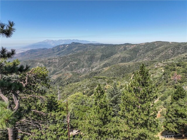 30897 Glen Oak Dr, Running Springs, CA 92382 - view of mountain backdrop