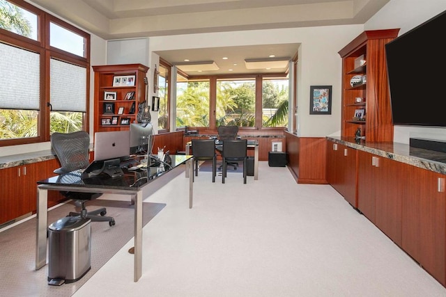 office space featuring light carpet, a healthy amount of sunlight, and a raised ceiling