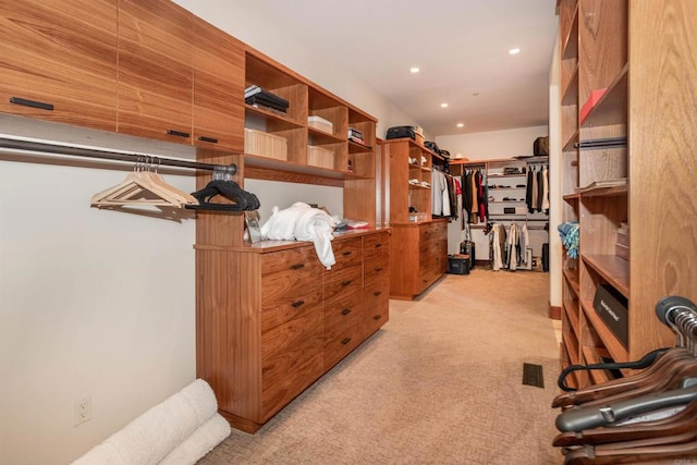 spacious closet featuring light carpet