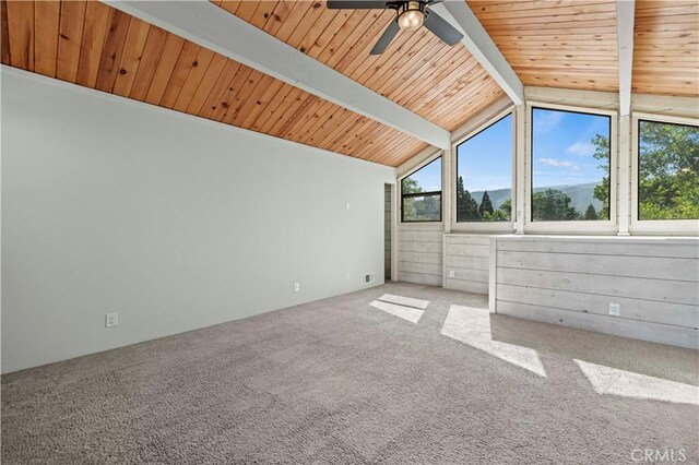 additional living space with carpet floors, a ceiling fan, wooden ceiling, and a wealth of natural light